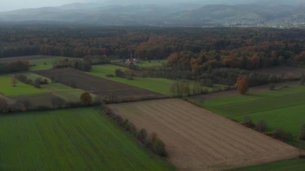 Luchtfoto van Oost-Slovenië landschap met velden, bos en heggen, Hagen verdelen velden en weiden — Stockvideo