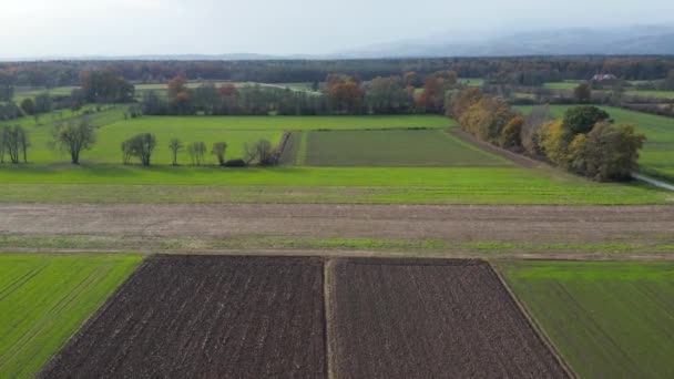 Aerial view of east Slovenia countryside with fields, forest and hedges, hedgerows dividing fields and meadows — Stock Video