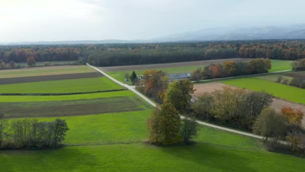 Vista aérea de la campiña del este de Eslovenia con campos, bosques y setos, setos que dividen campos y prados — Vídeos de Stock