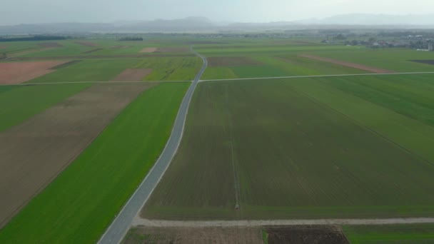 Platteland Oost-Slovenië, Drava rivier vlakten, Panonnian flatlands, traditionele kleine velden — Stockvideo