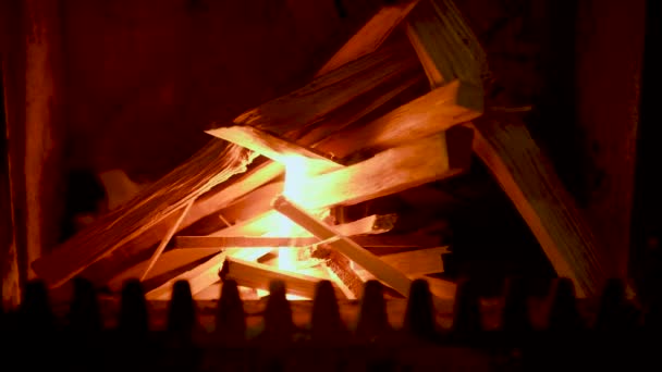 Soba yangın, yakacak odun yanan yakın — Stok video