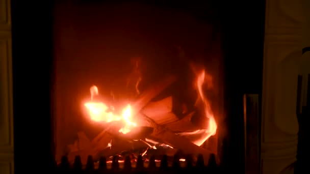 炉子里的火, 近在咫尺, 柴火燃烧 — 图库视频影像