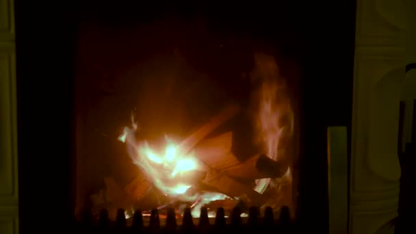 Огонь в печи, близко, дрова горят — стоковое видео