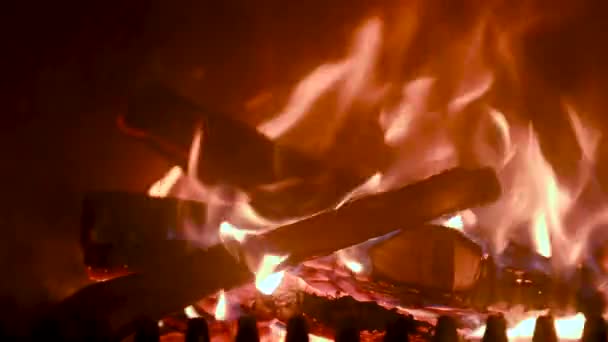 Ogień w piecu, bliska, drewno opałowe, palenie — Wideo stockowe