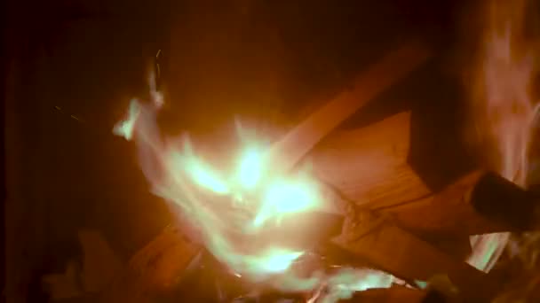 Fuego en la estufa, de cerca, leña ardiendo — Vídeo de stock