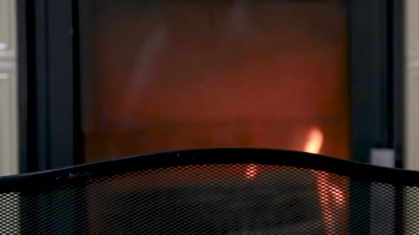 Požár Kamnech Zblízka Hoření Dříví Detailní Vnitřní Scéna Zimní Koncept — Stock video