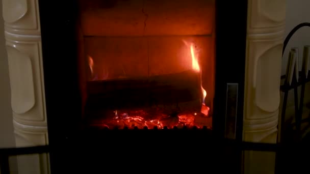 Fire in stove, close up, firewood burning — Stock Video