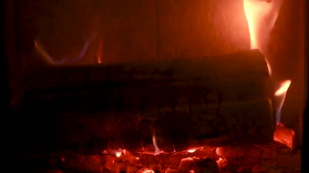 Oheň v kamnech, zblízka, spalování palivového dříví — Stock video