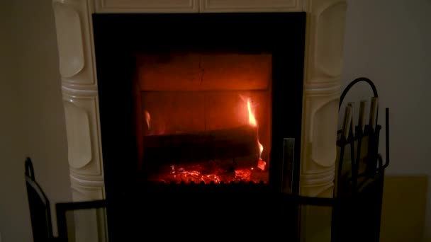 Domestic home wood burning stove — Stock Video