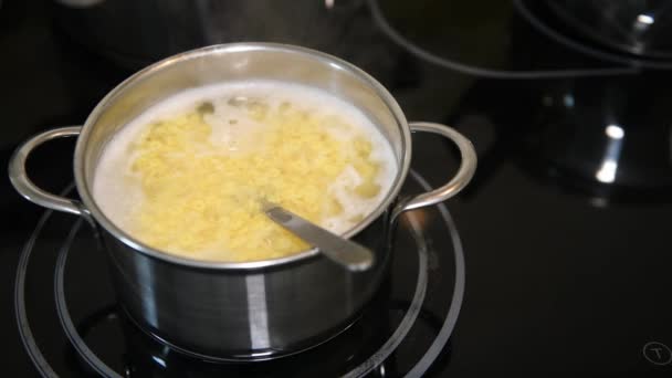 Kochen traditionelle Suppennudeln, Nahaufnahme, niemand — Stockvideo