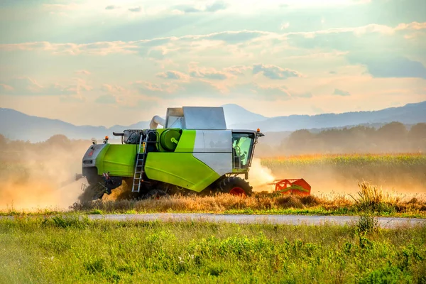 Combine harvesting wheat on field — Stock Photo, Image