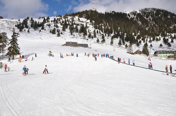 Krvavec alp dağ kayak merkezi Slovenya