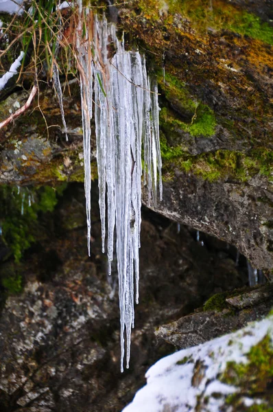 Buz sarkıtları yosun kaplı kaya — Stok fotoğraf
