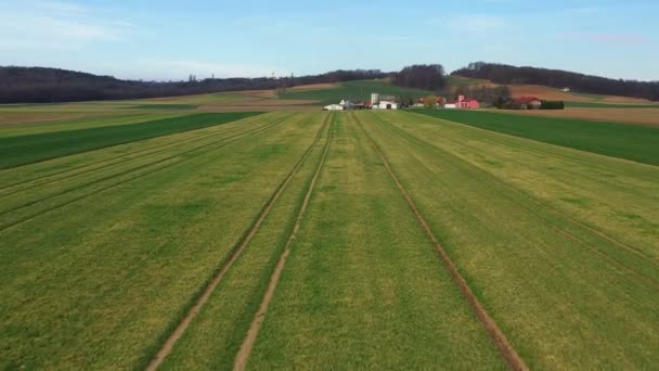 Attraversando un campo di grano verso il piccolo villaggio di Desenci — Video Stock