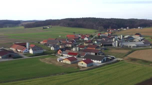田舎、村 Levanjci で酪農畜産農場 — ストック動画