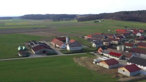 Тваринництво і молочних ферм в невеликому селі в Європі, Levanjci, графстві Destrnik в Словенії — стокове відео