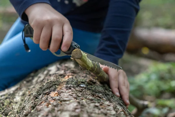 Mãos de menina ou menino usando uma faca suíça, serrando um pedaço de madeira na floresta, ninguém Imagem De Stock