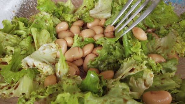 Repas santé, salade maison non préparée avec saumon, ficelle verte et haricots bruns, régime pauvre en glucides, forme physique et mode de vie — Video