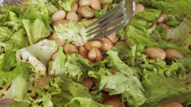 건강한 식사, 연어, 녹색 끈과 갈색 콩을 곁들인 무대없는 수제 샐러드, 저탄수화물 식단, 피트니스 및 라이프스타일 — 비디오