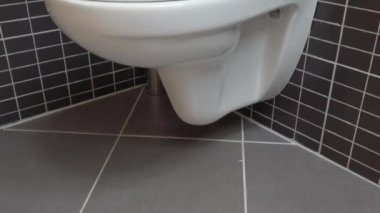 HD owłosione nastolatki rury
