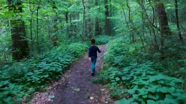 Liten flicka går på en gångstig, ensam i mörk, kuslig skog — Stockvideo