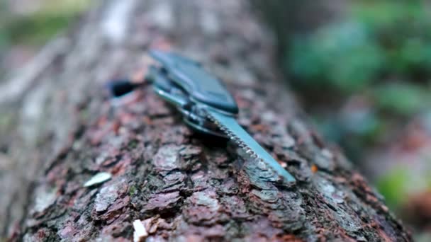 Suizo multiusos supervivencia y cuchillo al aire libre con hoja de sierra extendida en un tronco de árbol en el bosque — Vídeo de stock