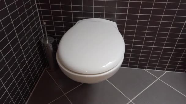 Toilet mangkuk, toilet di kamar mandi modern dengan ubin hitam dan abu-abu, 4k UHD, tutup tertutup, panning tembakan kiri ke kanan — Stok Video