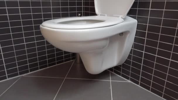 Bacia WC, lavatório em banheiro moderno com azulejos preto e cinza, 4k UHD, tampa aberta, inclinar-se tiro, contraste preto e branco — Vídeo de Stock