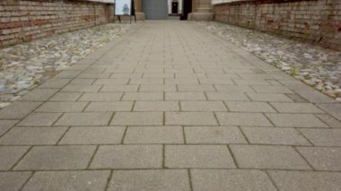 Ortaçağ Avrupa kasabasında Rönesans Barok sarayı, Slovenska Bistrica Kalesi, Slovenya