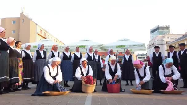 Grupo de danza folclórica realiza un espectáculo para los turistas en Zagreb, Croacia — Vídeo de stock