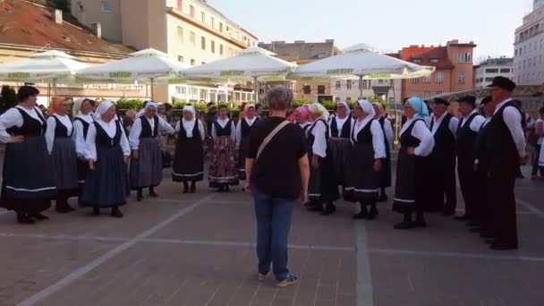 Halk dansları grubu Zagreb, Hırvatistan'da turistler için bir gösteri yaptı — Stok video