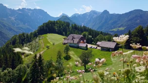 山景，阿尔卑斯山在斯洛文尼亚与农场和盛开的草地 — 图库视频影像