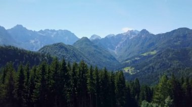Slovenya'daki Avrupa Alpleri, klip, dağ manzarası, orman ve alp çayırlarının sonunda ki direğin üzerinde bronz bir ejderha heykeli