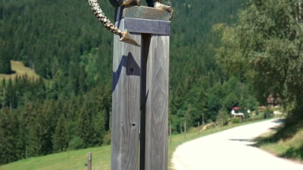 Statua del drago di bronzo su palo, paesaggio montano, foresta e pascolo alpino — Video Stock