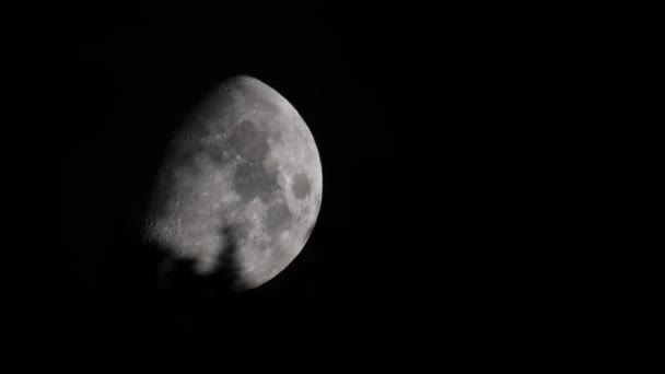 Lua quase cheia pousando atrás das árvores — Vídeo de Stock