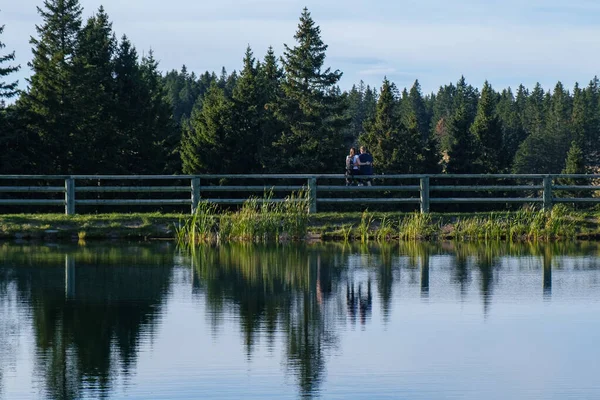 Young couple, facing away, sitting on fence at lake, trees reflect in water