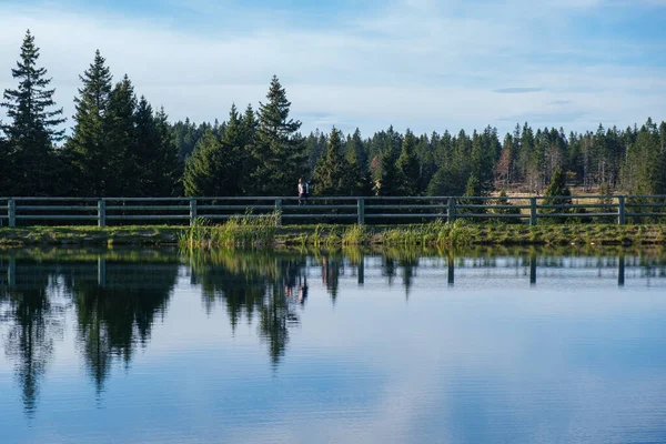 Lago tranquilo com árvores refletidas simetricamente na água azul limpa — Fotografia de Stock