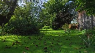 Sonbaharda kır bahçesi