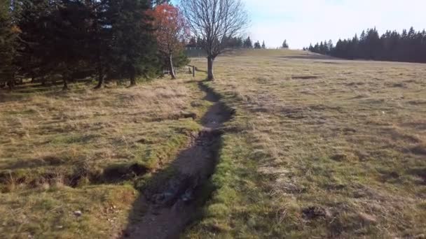 Caminho para caminhadas nas montanhas — Vídeo de Stock