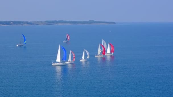 Zeilboten voor de kust concurreren in regatta — Stockvideo