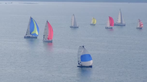 Segelboote vor Küste messen sich bei Regatta — Stockvideo