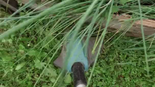 Herbe coupante avec coupe-ficelle, point de vue rapproché, personne — Video