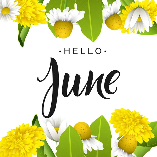 Lettering Hello June Yellow Dandelions Camomiles White Background — Stock Vector