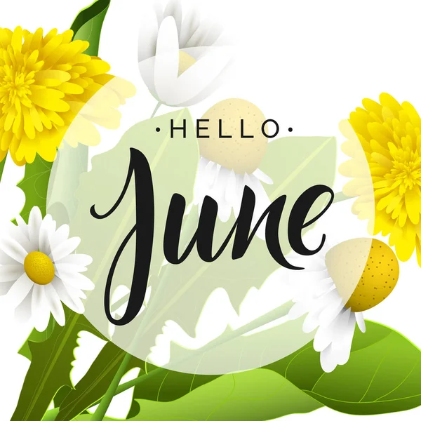 Belettering Hello June Met Gele Paardebloemen Camomiles Witte Achtergrond — Stockvector