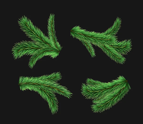 Set van vector realistische gedetailleerde FIR takken geïsoleerd op zwarte achtergrond. Kerstboom, sparren takken, grenen. — Stockvector