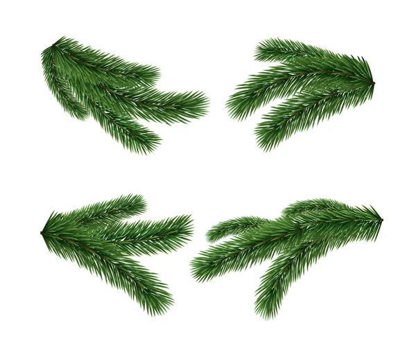 Beyaz arka plan üzerinde izole vektör gerçekçi ayrıntılı köknar dalları kümesi. Noel ağacı, ladin dalları, çam.