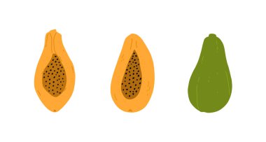 Papaya beyaz arka planda izole edildi. Egzotik tropikal papaya meyvesi. Çizgi film tarzında el çizimi sanatı. Vektör.