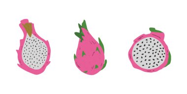 Beyaz arka planda izole edilmiş pembe pitayalar. El çizimi pitahaya klip sanatı. Egzotik tropik ejderha meyvesi. Vektör.