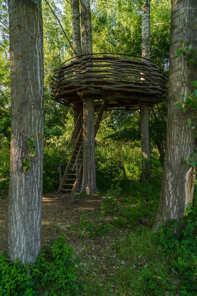 Смотрительное Гнездо Малиново Словакия — стоковое фото