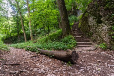 Küçük Karpatlar 'daki Lurdy Mağarası, Smolenice, Slovakya